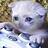 LogicCats