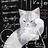 Strong_cat